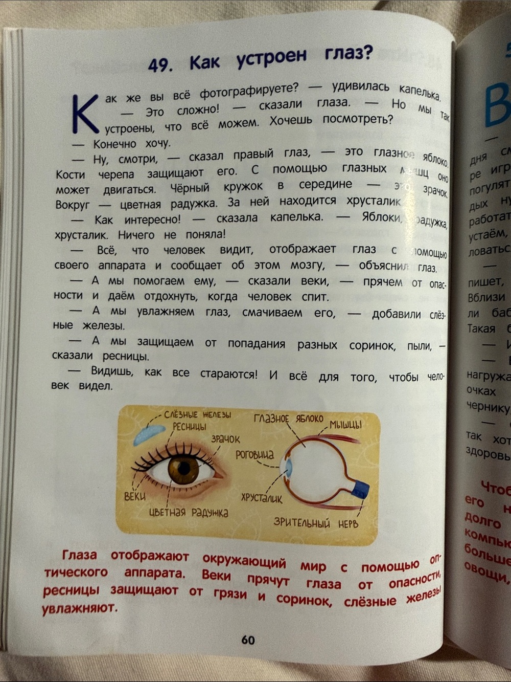 Как устроен человек — энциклопедия для малышей в сказках Елена Ульева - Picture 4 of 6